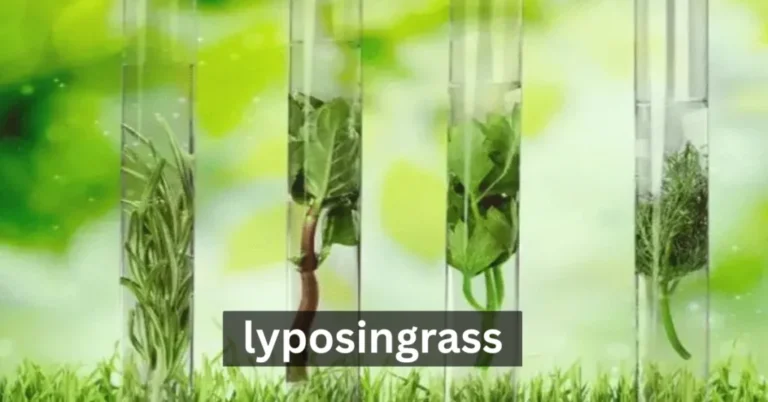Lyposingrass